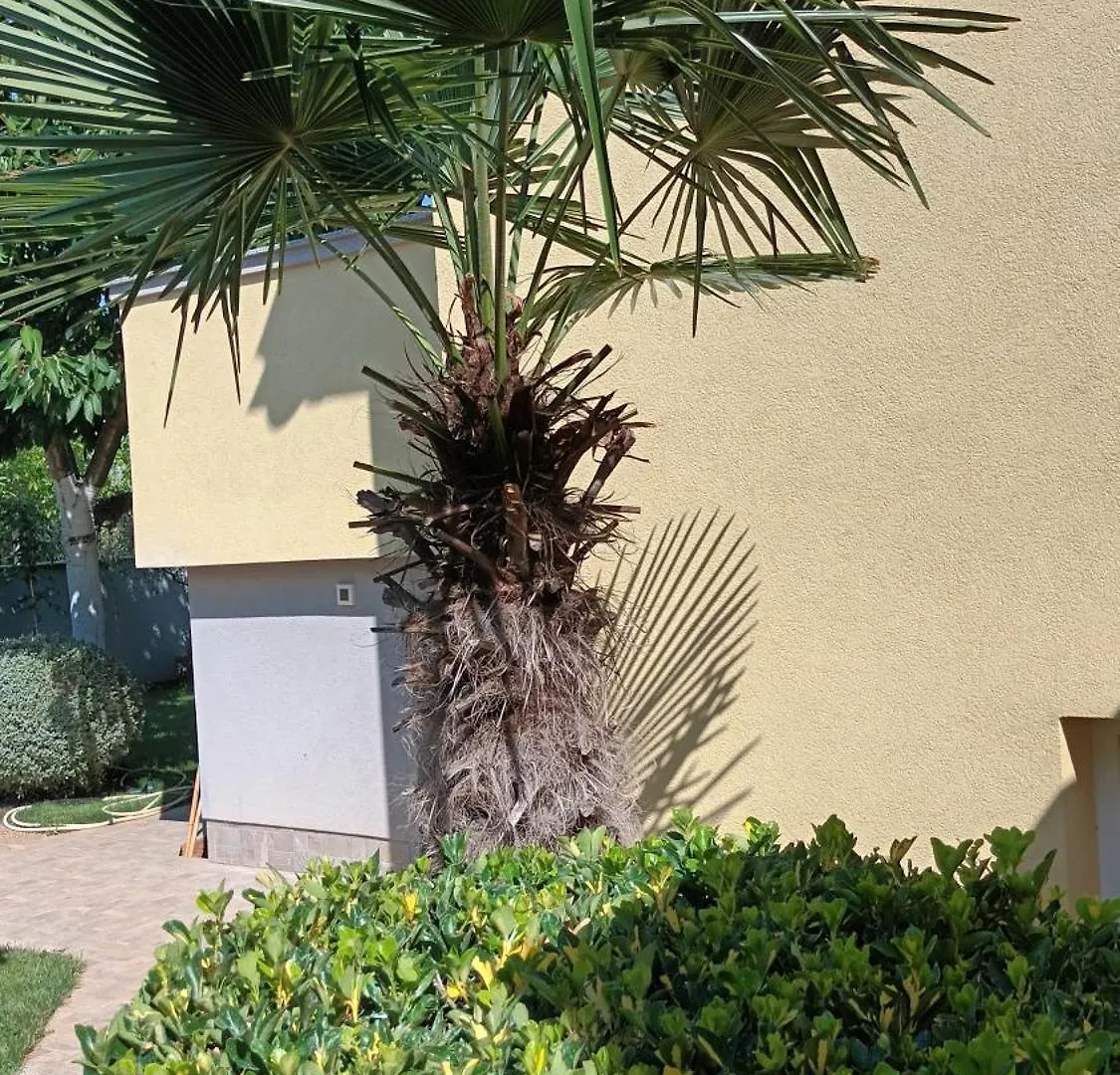 Apartments Monte Magno Pula Croatia