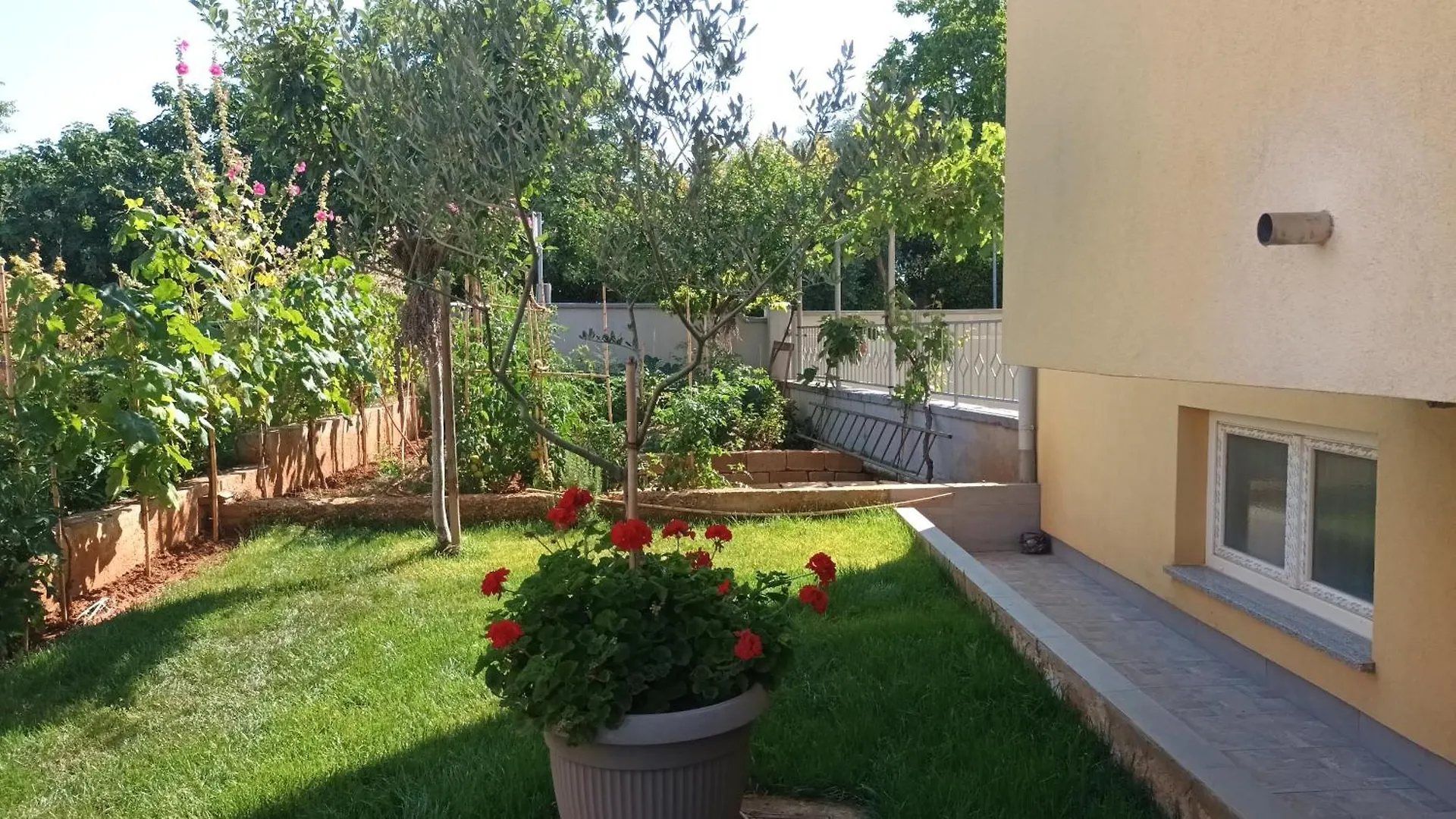 Apartments Monte Magno Pula 0*,  Croatia