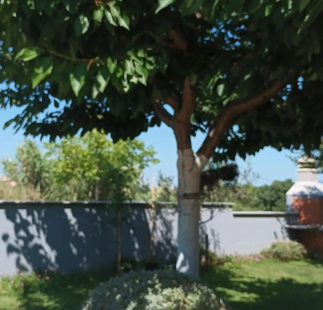 Apartments Monte Magno Pula Croatia