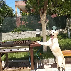 Casa Prifti Casa di campagna Vlorë